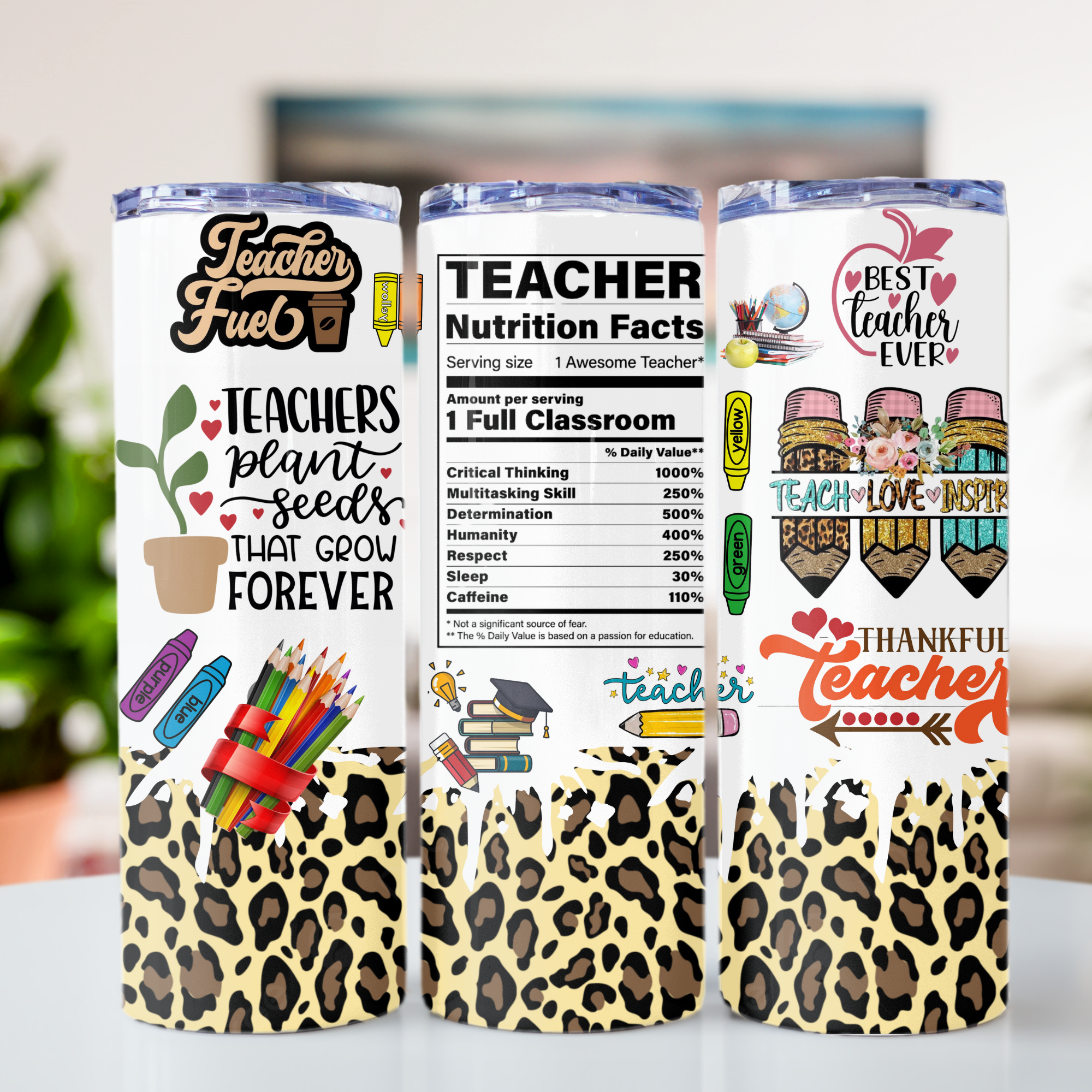 Teacher Nutritions